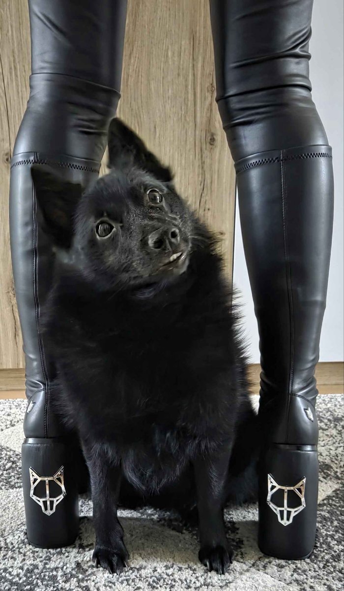 UnJaded🖤💌 Fallen Angel VTuber tweet media