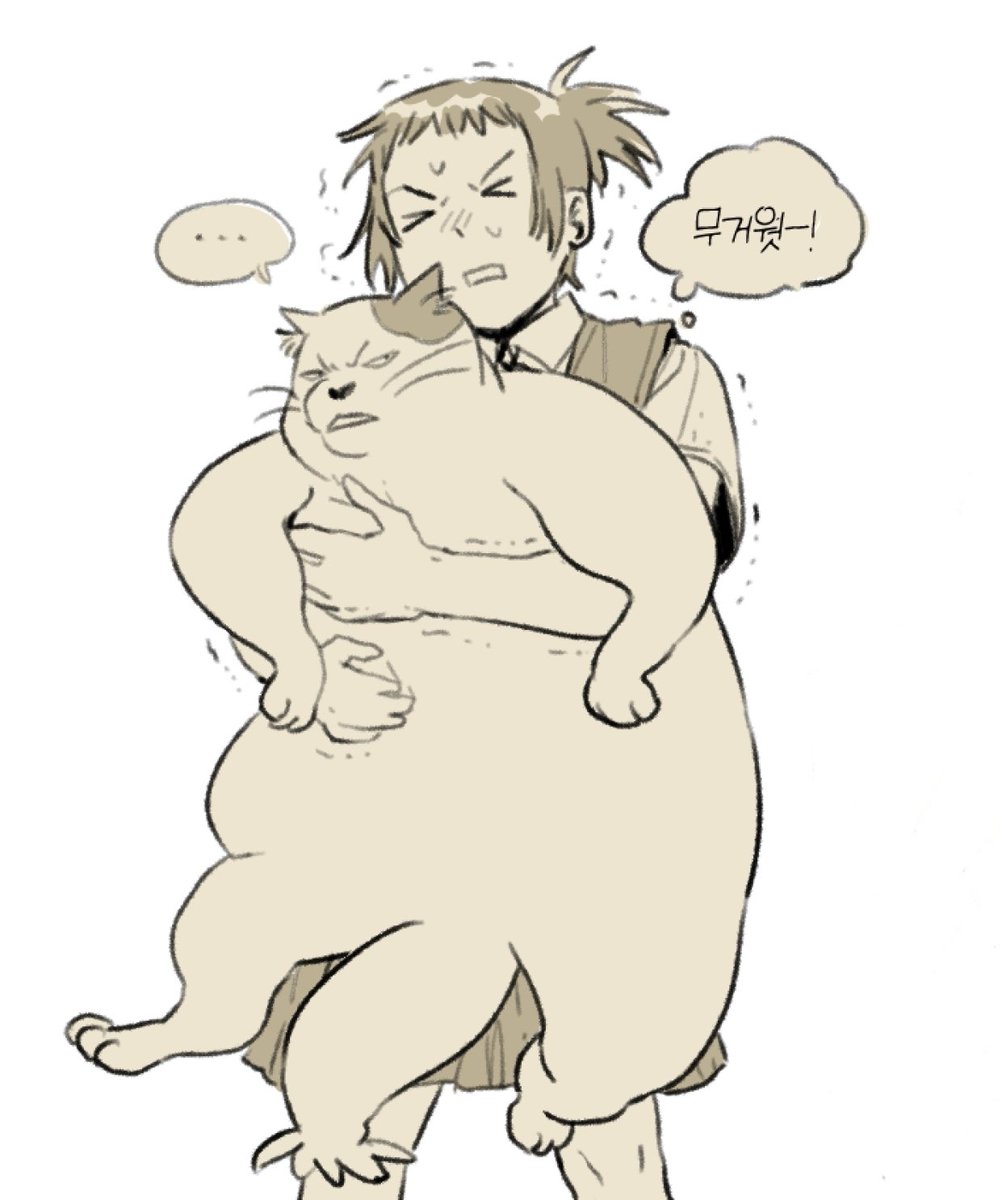 사실 요즘 고양이의 보은을 다시 봤는데... 
여전히 좋은작품이더군요
절대 다른 마음은 없었습니다