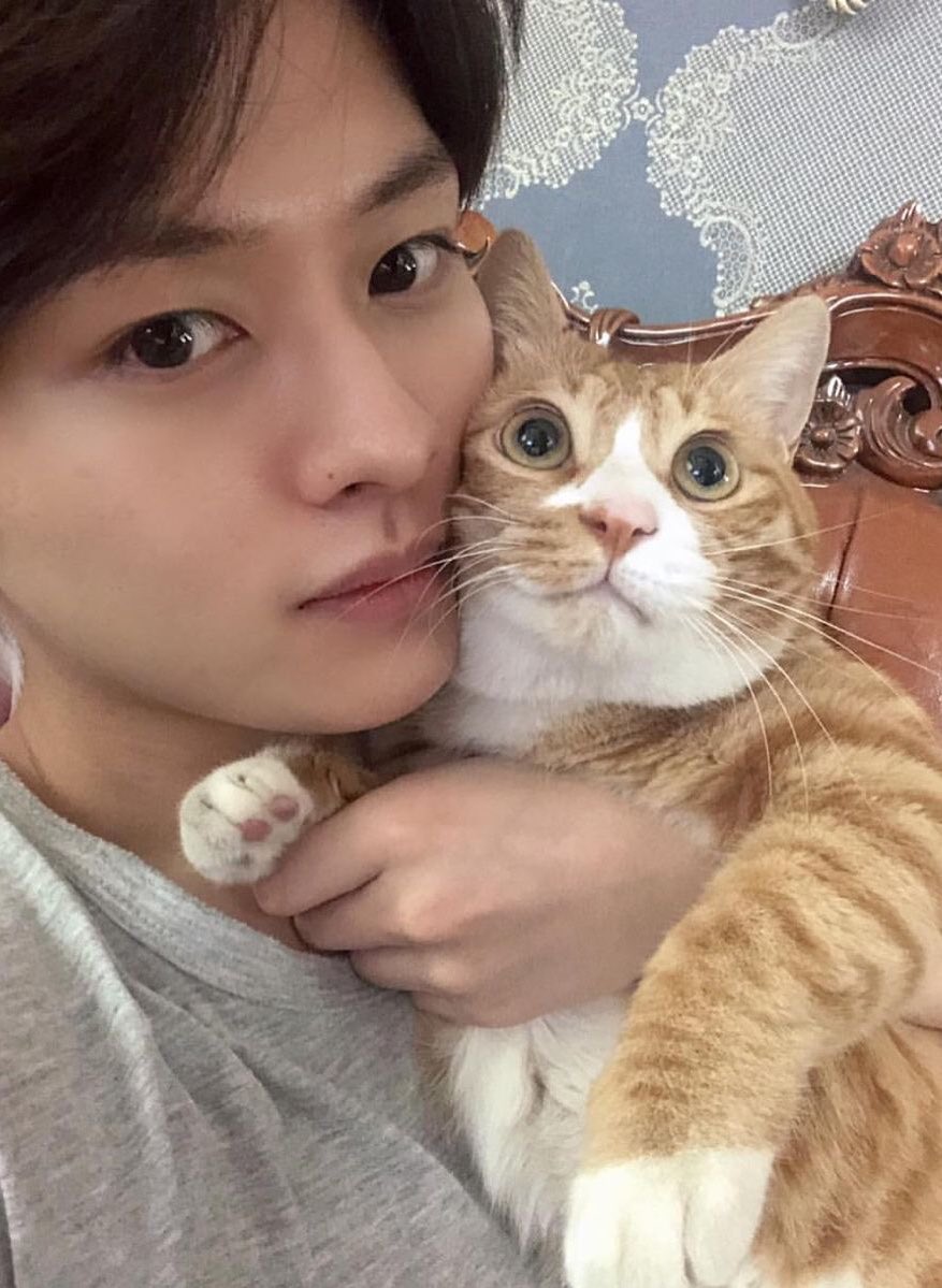 leeknowarchive's tweet image. have an ameowzing day cutie! 
#HappySoonieDay