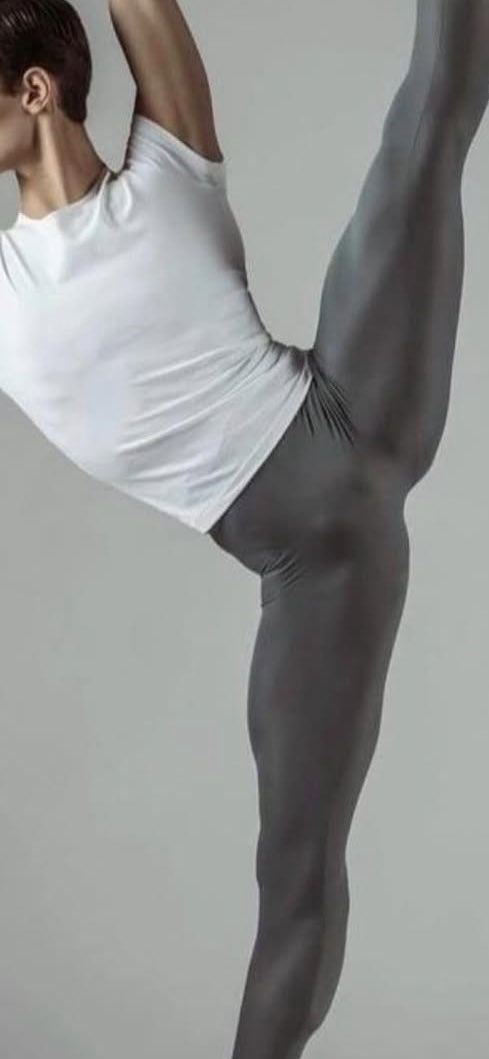 Want to meet ballet guy tweet media