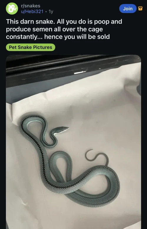 CapDeGeneral's tweet image. secngjccngs everywhere i look...
**ofc hj did not sell seonghwa in the end 🙄🙄🙄