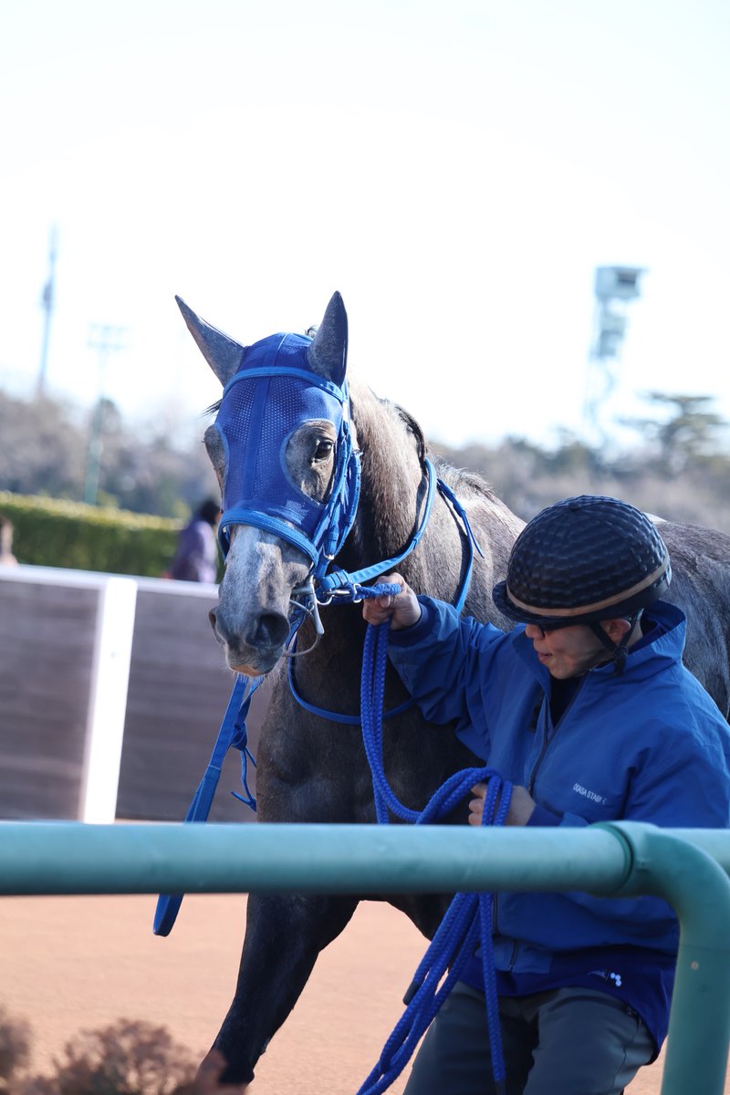 プラチナムディスク💙

小笠厩舎、2026年の初陣。
7人気2着とよく頑張りました✨
次は未勝利勝ち上がろうね😭

#プラチナムディスク 
#長浜鴻緒 騎手
#小笠厩舎
#小笠倫弘厩舎