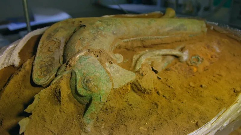 ticiaverveer's tweet image. Archaeologists discovered a remarkable collection of Iron Age objects from around 2,000 year ago in West Norfolk. Among it a near-complete Iron Age battle trumpet (carnyx)! and parts of another and a boar's head flag standard 
📷Norfolk Museums Service
bbc.com/news/articles/…