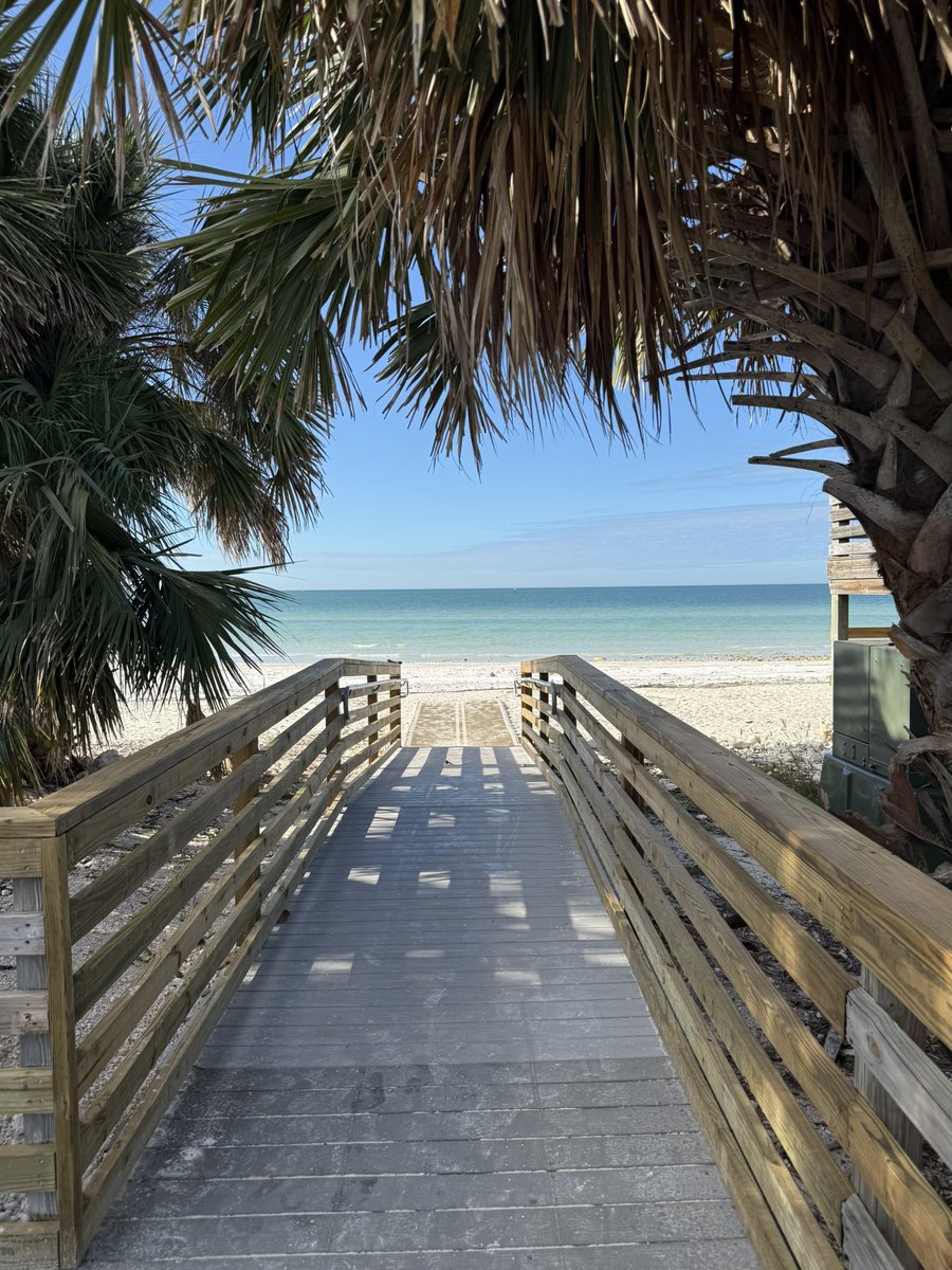 bimberlina's tweet image. Non binary bear trade at the beach