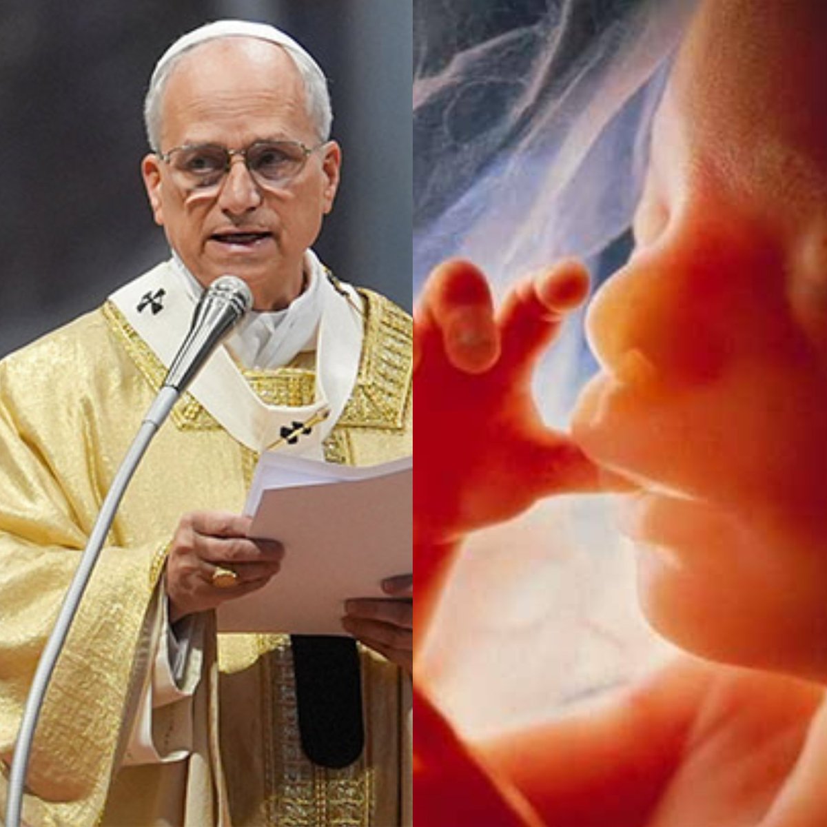BREAKING

Pope Leo XIV has CONDEMNED the ''so called 'right to safe abortion'", calls anti life measures 'deplorable'