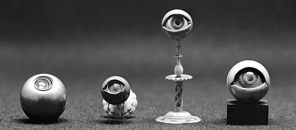 Fundacja SCP Polska tweet media