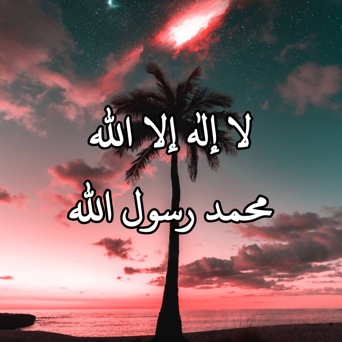 البطاقة الإسلامية tweet media