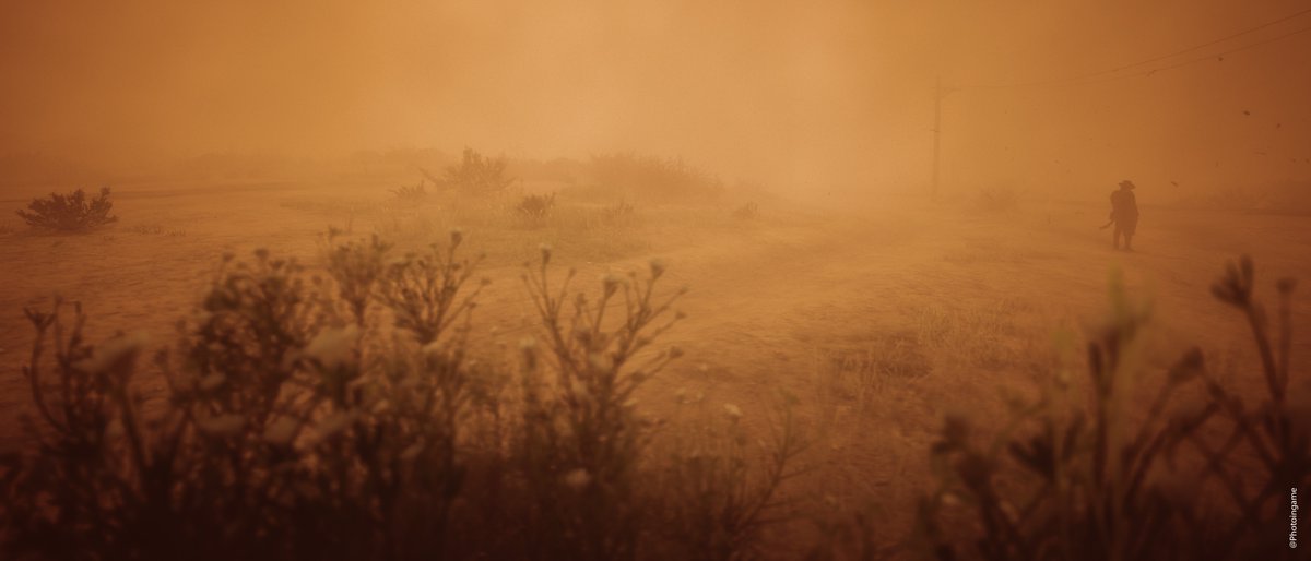 Photoingame's tweet photo. Red Dead Redemption 2 (PS5)
Armadillo https://t.co/XEHFJ8rm3I