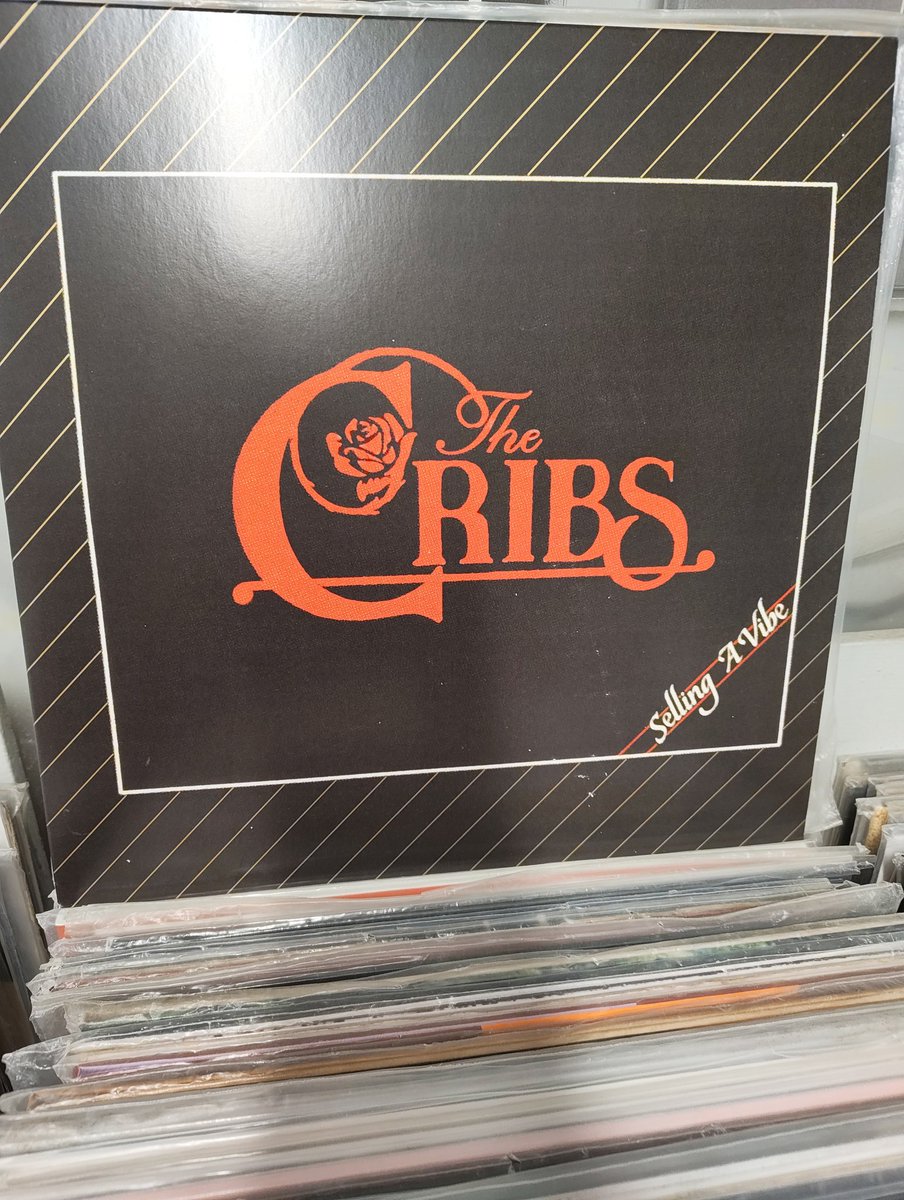 Record Collector tweet media