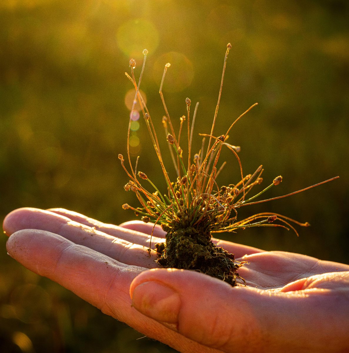 UChicago Magazine tweet media