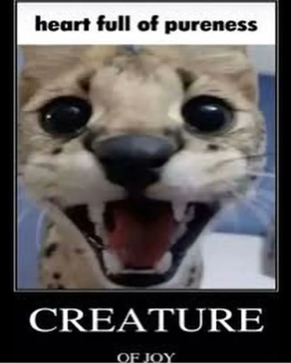 Sixrande's tweet image. 