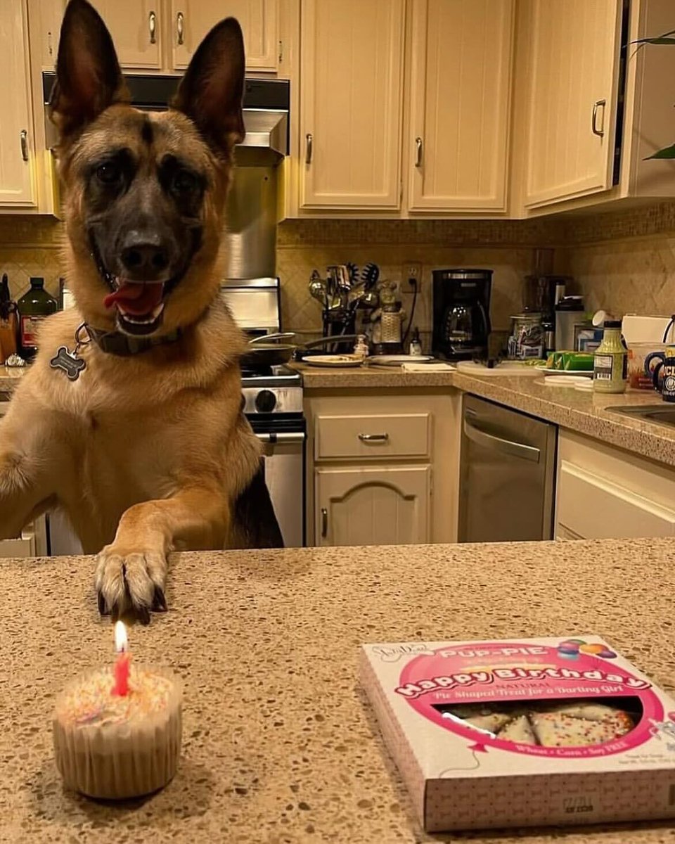 tragicbirdapp's tweet image. a short story