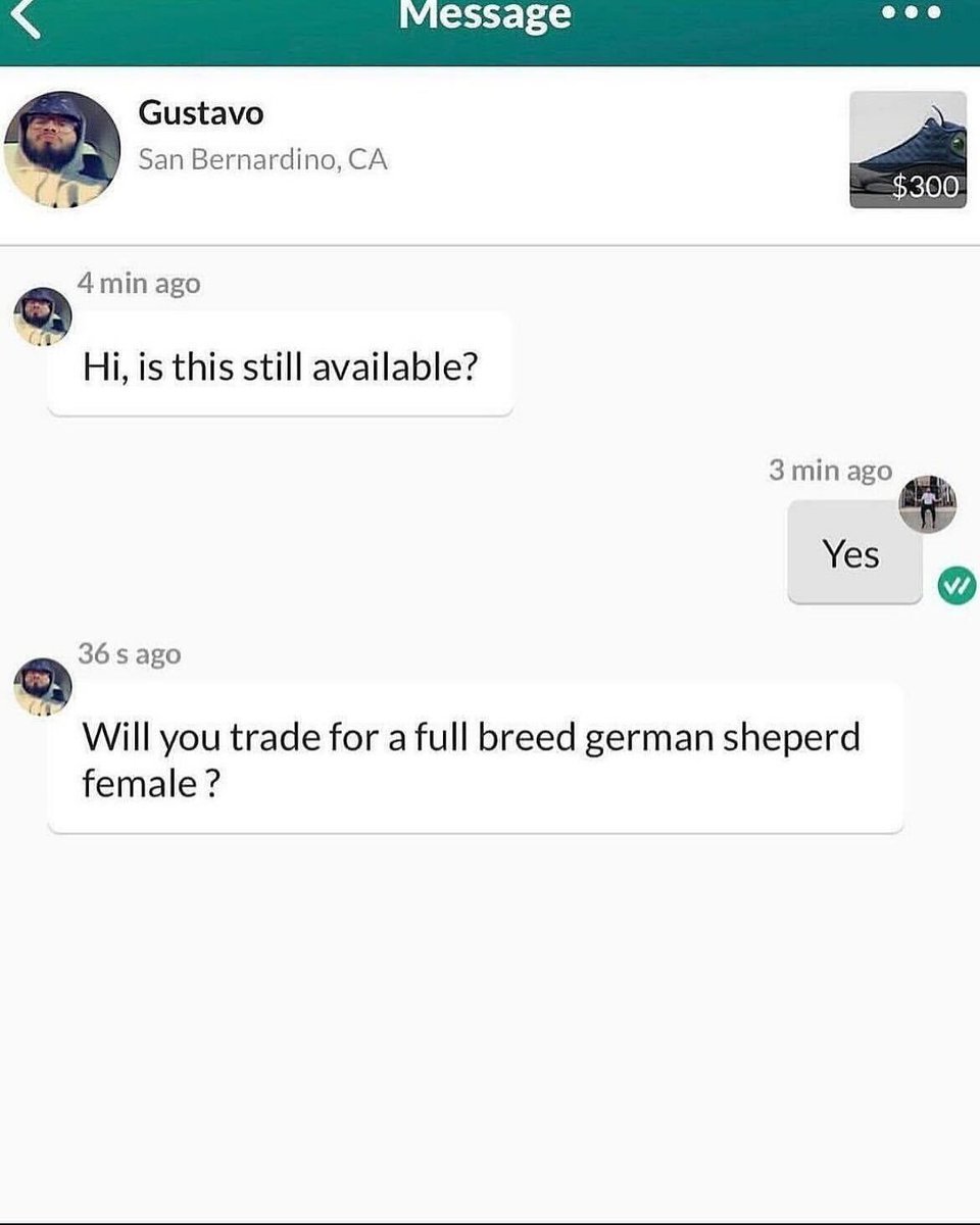 tragicbirdapp's tweet image. a short story