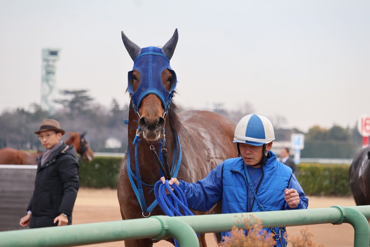 トーセンブリラーレ💙

前走中京新馬戦で5着だったけどこの日は11着😢
それでもまだまだデビュー2戦目。
次はより良い走りを見れますように✨

#トーセンブリラーレ
#長浜鴻緒 騎手
#小笠厩舎
#小笠倫弘厩舎