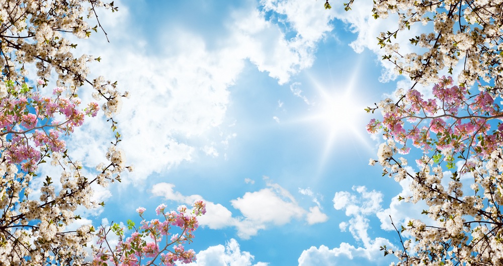 Good morning! It's Friday! Enjoy.
I hope you can hit 1 or more of the 6 Pillars of #lifestylemedicine today. 
1-regular physical activity
2-nutritious+delicious meals
3-sound sleep
4-practice stress reduction techniques
5-connect with others
6-avoid risky substances
#FridayVibes