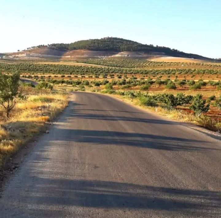 لذاكَ الجمال يحنّ قلبي 
             وروحي في ترابه تهيمُ

مساء الخير لجميع الأصدقاء 
اللهم آمنّا في أوطاننا