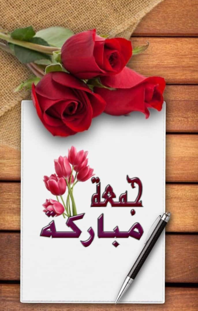 حمامة السلام🕊 tweet media