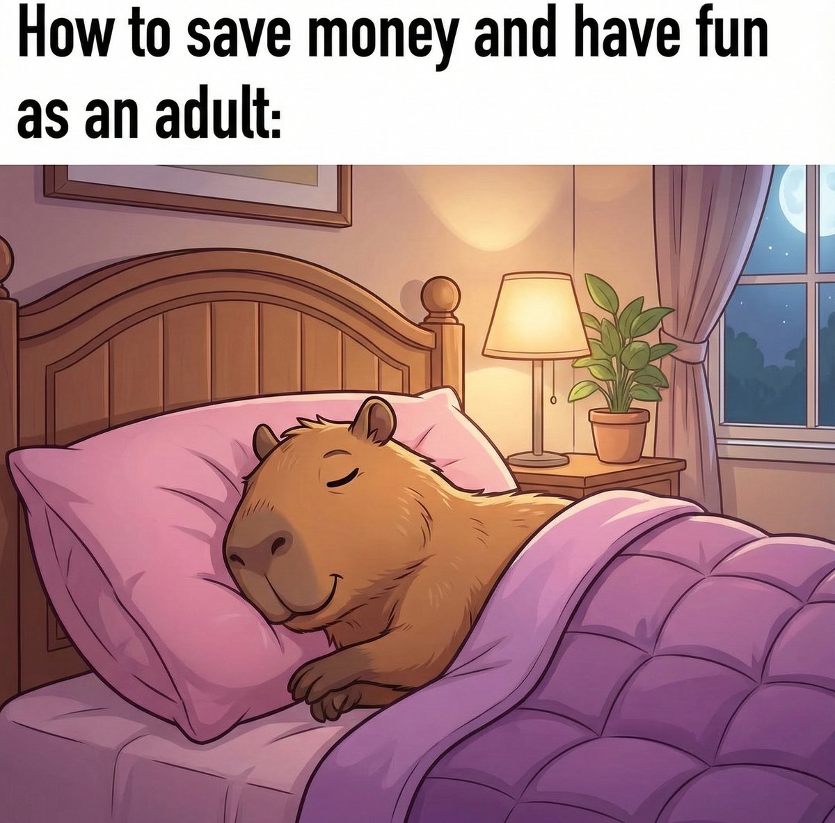 Capybaras_Daily's tweet image. true