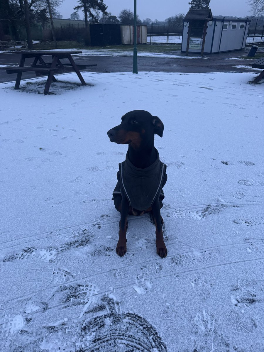 Winter walks 🥶