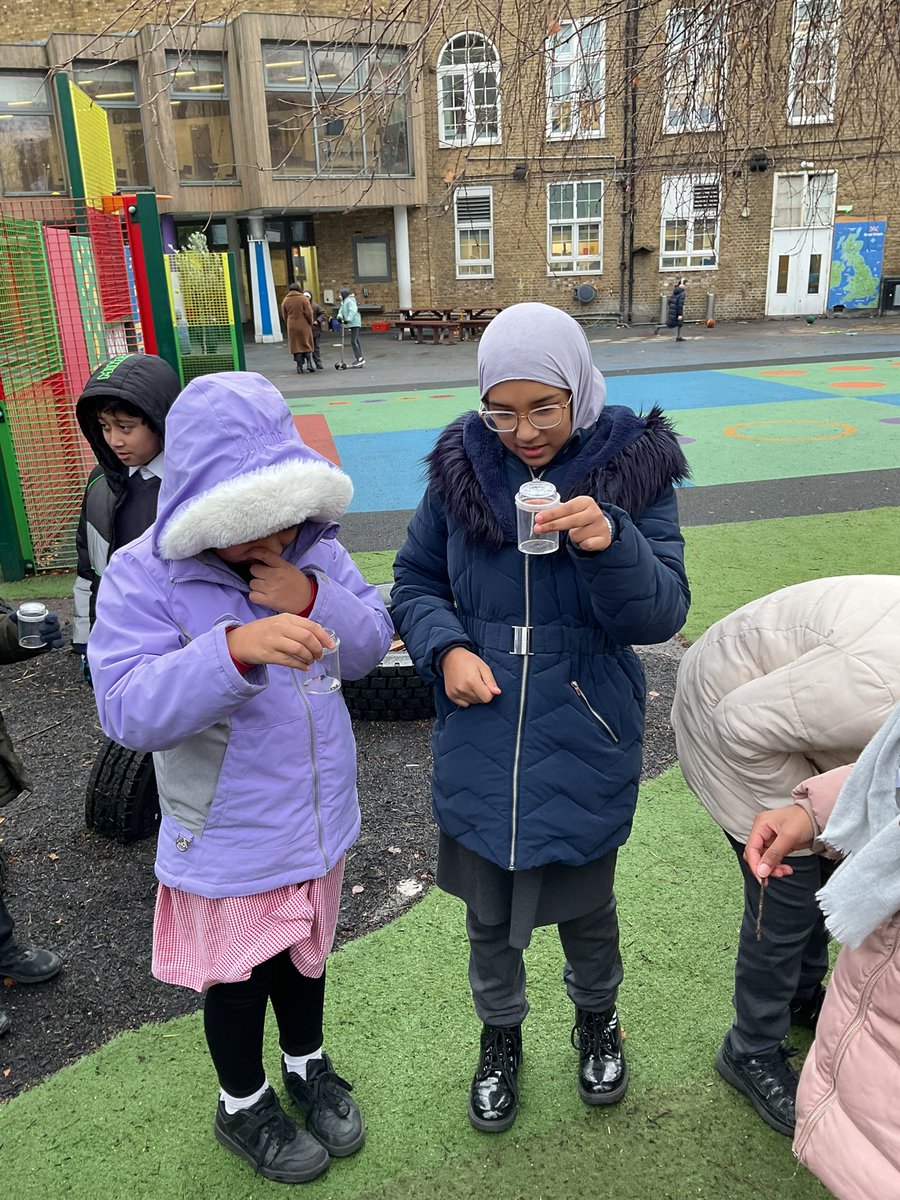 Mayflower Primary School tweet media