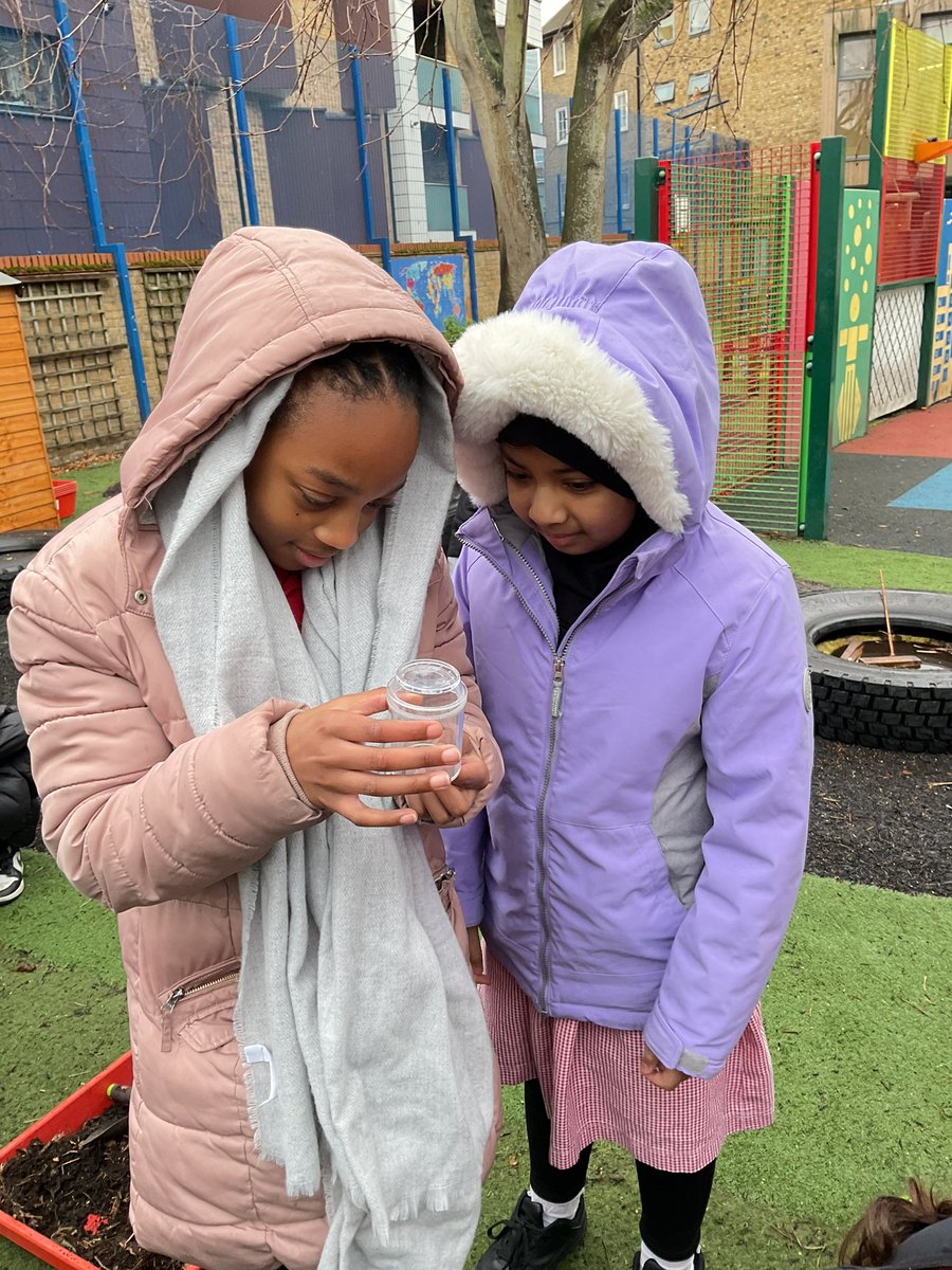 Mayflower Primary School tweet media