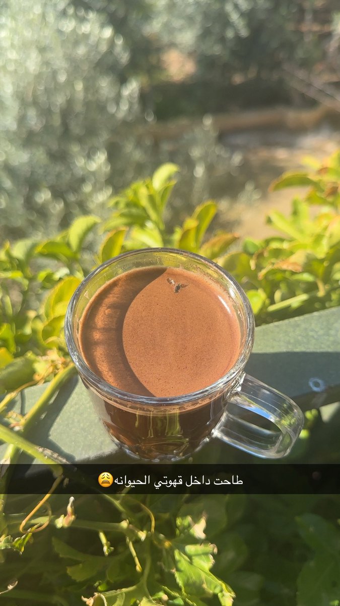 ابي عنوان للصوره🥲