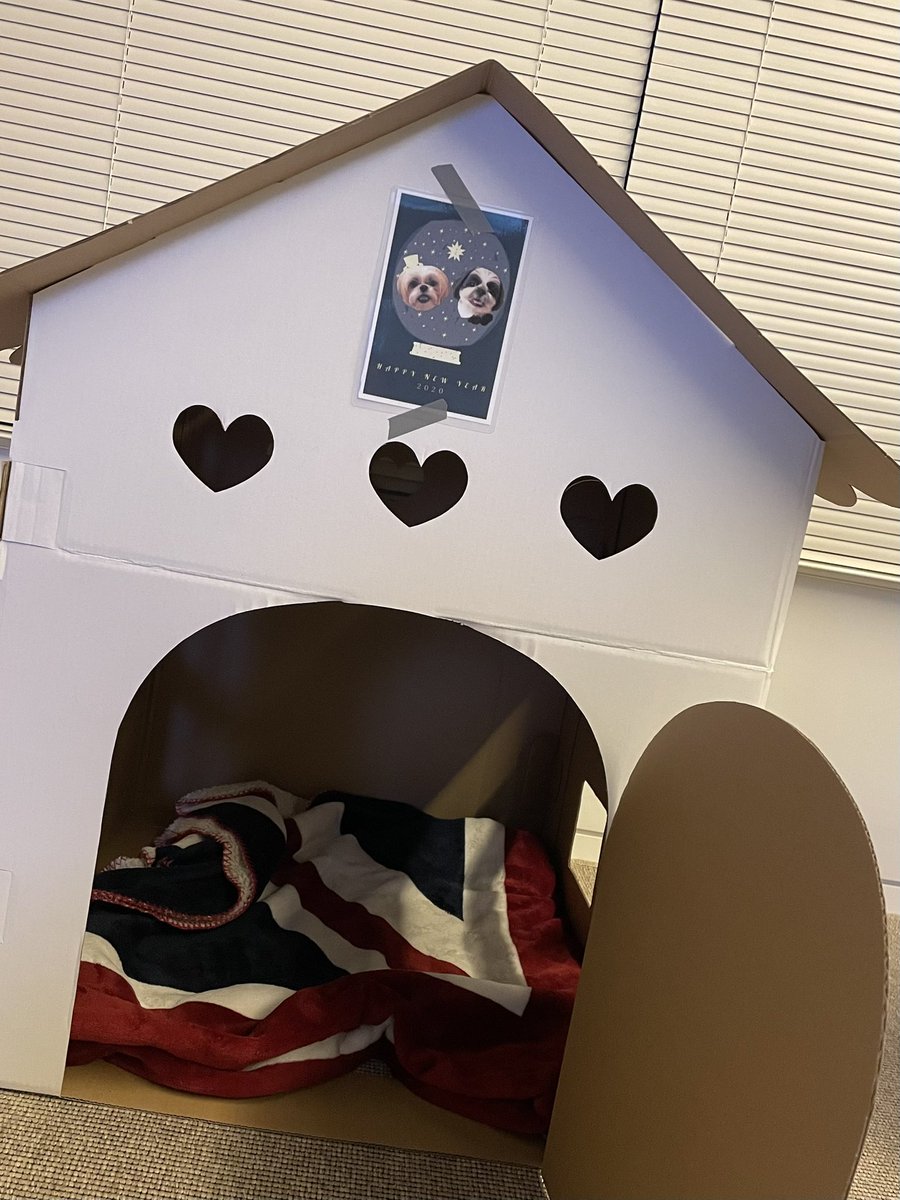 깨죽시 자가 마련 🏠