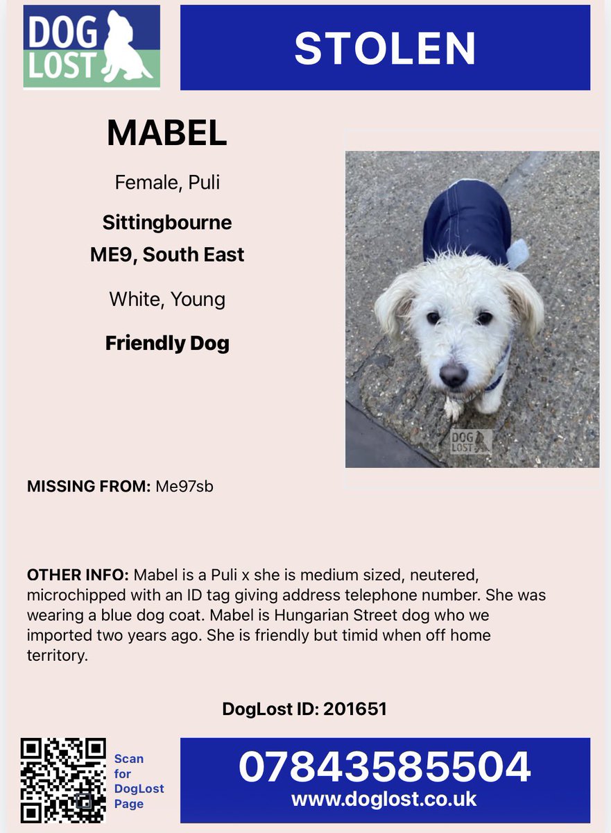 Mabel has been reported stolen. She was taken from her property in #Sittingbourne #Kent #ME9 on Thursday 8th January between 9am and 9:30am. 

This has been reported to the police and a CRN has been issued.  Call police on 101 or Crime Stoppers anonymously on 0800555111

Or