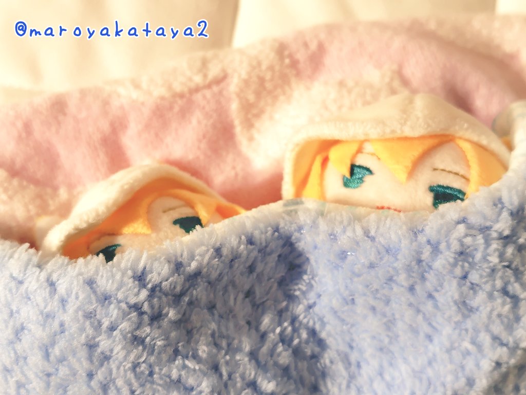 ぬくぬくゃ♨️

ぬくぬくたやや！♨️