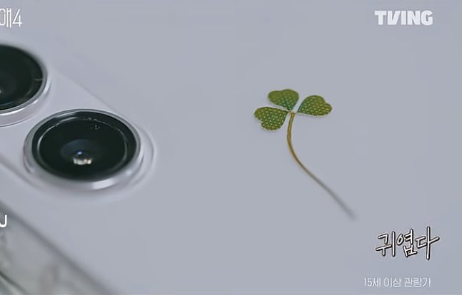 Inoo97's tweet image. 🩵☘️🦋