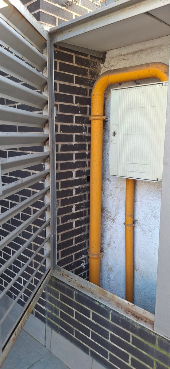 Oscar Hernández tweet media