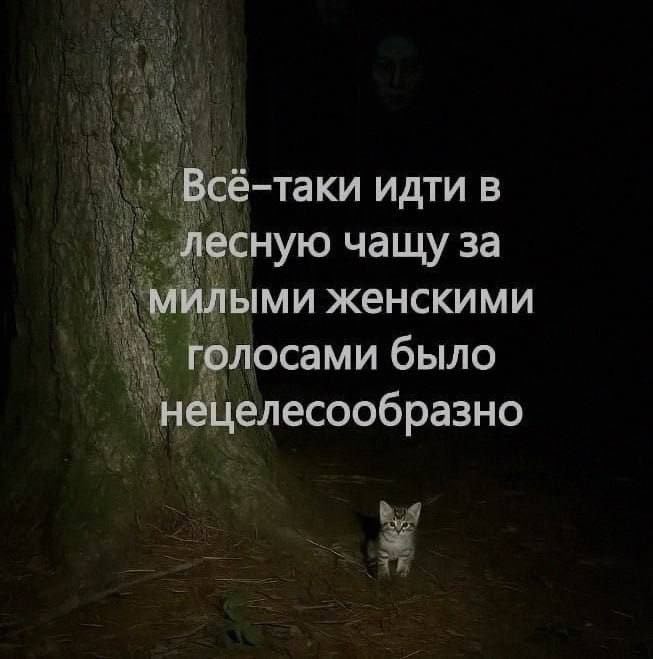 Nickro (@nickro666) on Twitter photo 