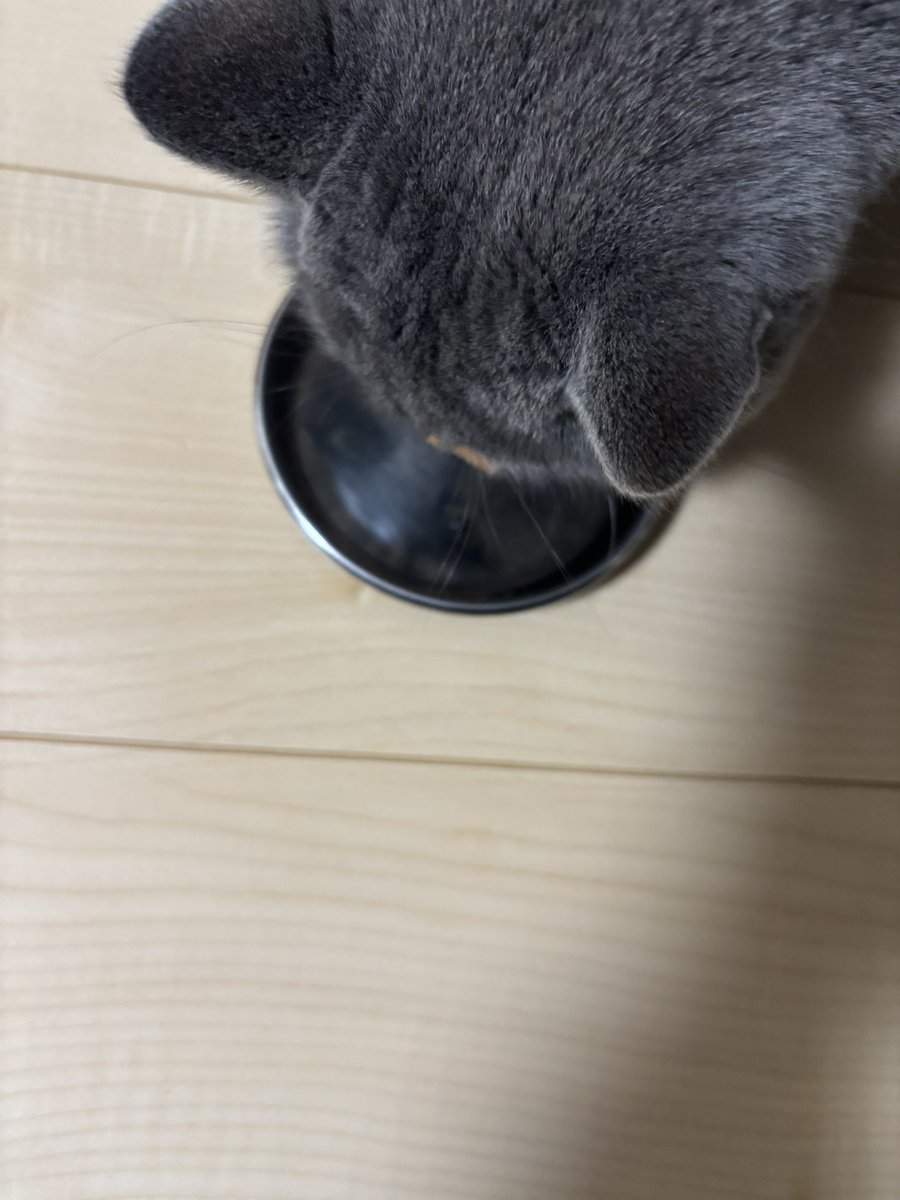 皿に顔写ってんのマジでふざけんなよWWWWWWWWWWWWWWWWWWWWWWWWWWWWWWWWWWWWWWWWWWWWWWWWWWWWWW