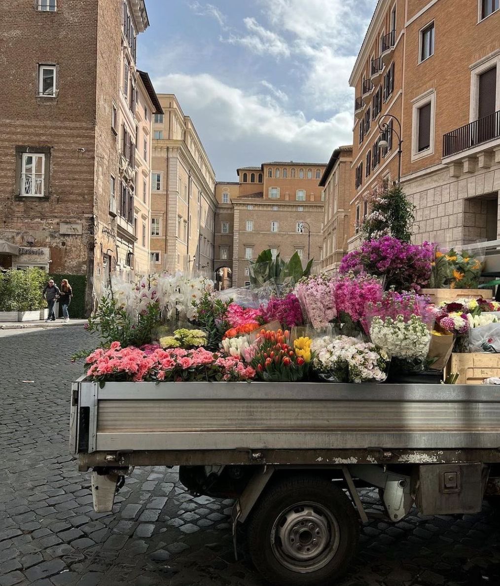 Butterflless's tweet image. 