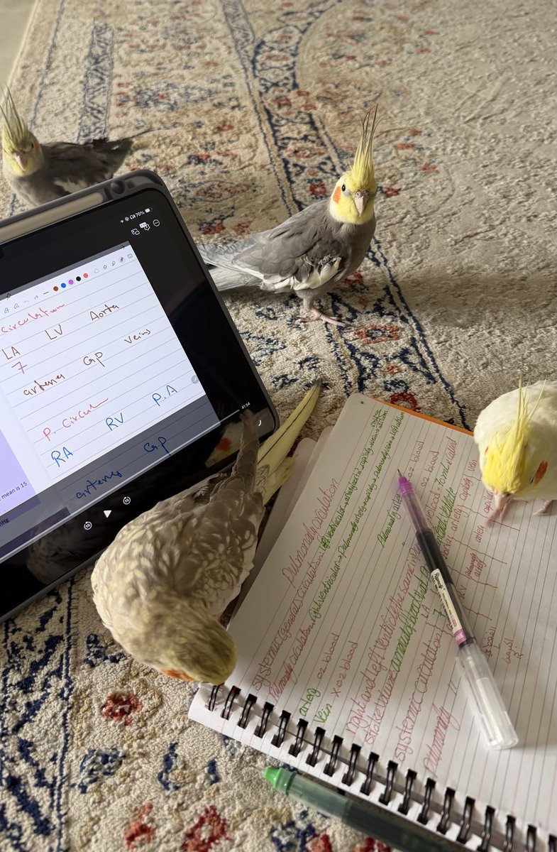 صراحه دايم احرص ان م فيه شي يشغلني اثناء مذاكرتي