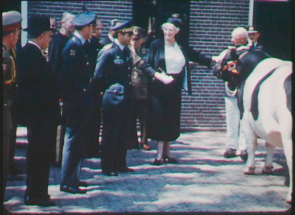 Vanavond om 20.25 uur, NPO2 (Omroep MAX), de aflevering van Nederland op Film over het boerenleven, met daarin ook amateurbeelden uit 1959 van de sjah van Perzië die in het Friese Jelsum een fokstier komt bekijken.