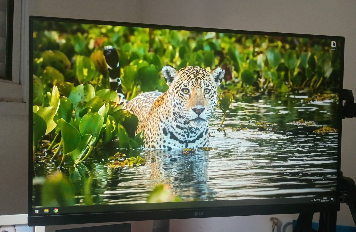 Pedi a Deus ontem um sinal sobre quem eu deveria votar este ano. Liguei o PC agora e este foi o papel de parede aleatório do Windows.

<a href="/PartidoMissao/">Partido Missão ⬛️🟨⬜️</a> <a href="/RenanSantosMBL/">Renan Santos⬛️🟨⬜️</a>