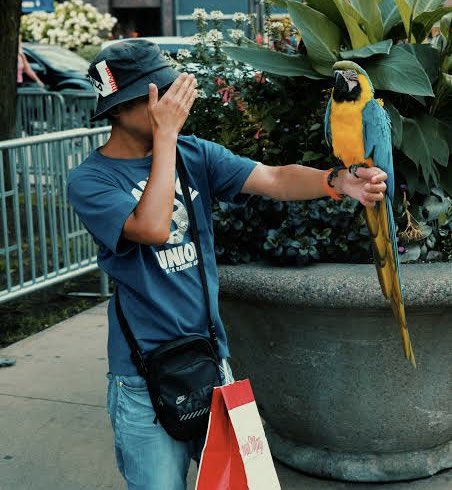 cheez3bbuck3t's tweet photo. i highkey think that tdl holds virabots the way like we usually hold parrots/birds #alanbecker #ava #tdl #thedarklord #virabot https://t.co/UE0JCrNXCb