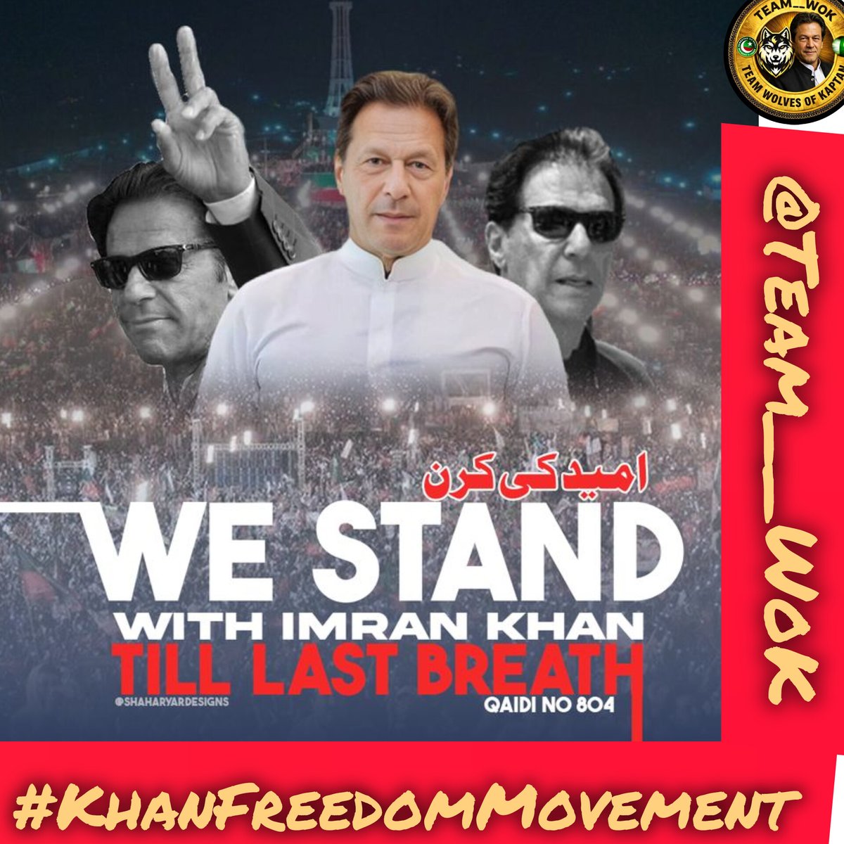 Wolves of Kaptan tweet media