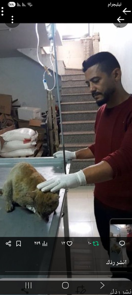 AhmedSalla45900's tweet image. Every small donation can mean warmth, safety, and survival.
If you can’t donate, please share—
sometimes sharing is the only voice we have left.
🔗 paypal.me/animalsworld85…
#SaveGaza #Rebuild #Solidarity