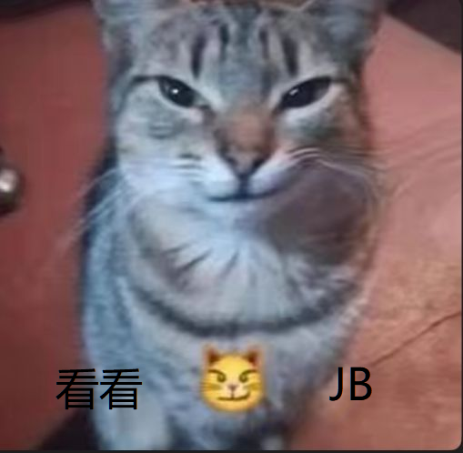 一颗肉丸子 tweet media