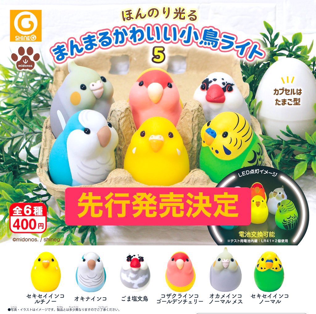 midonos.Midori (@chinaxgreen) / Posts / X