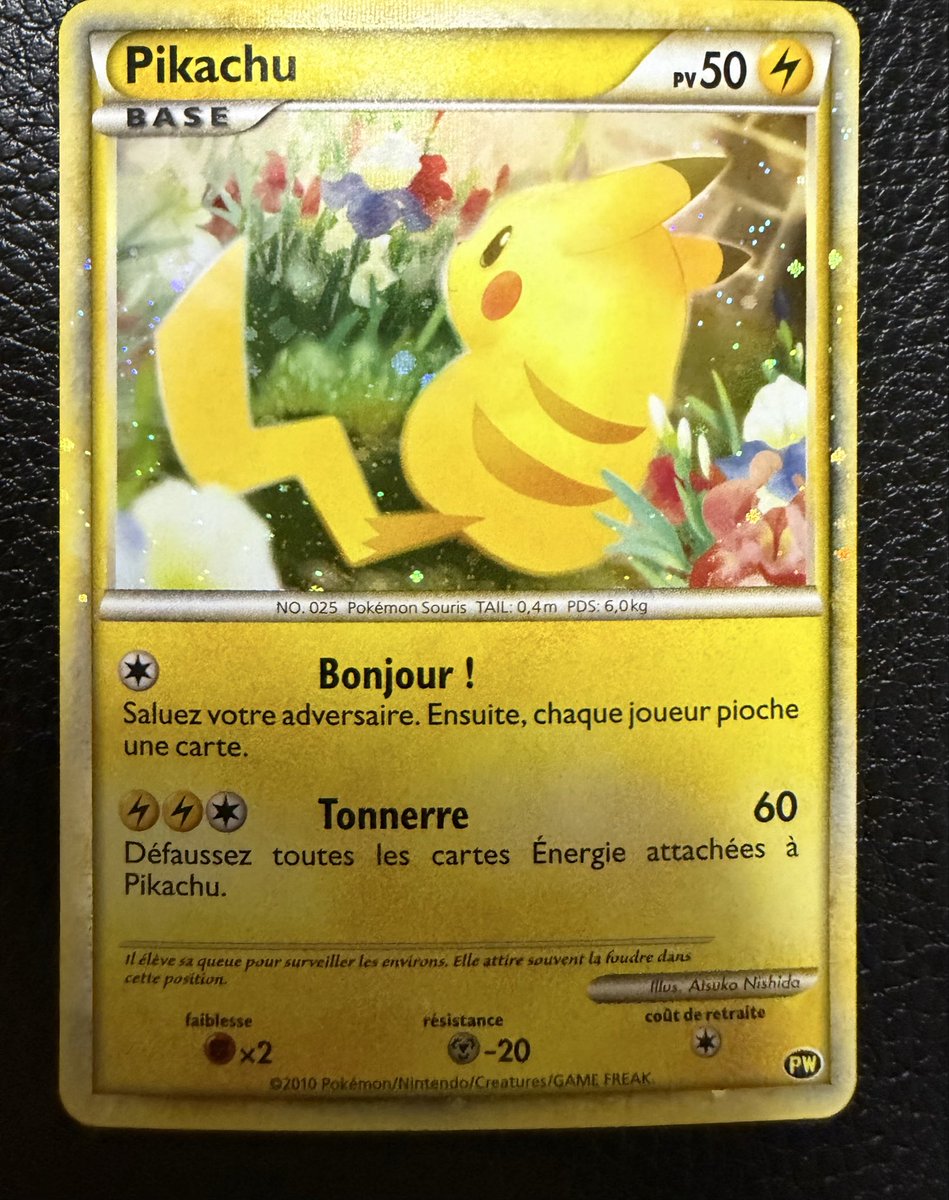 ポケモンゲットだぜ！ ピカチュウワールド フランス🇫🇷 なかなか