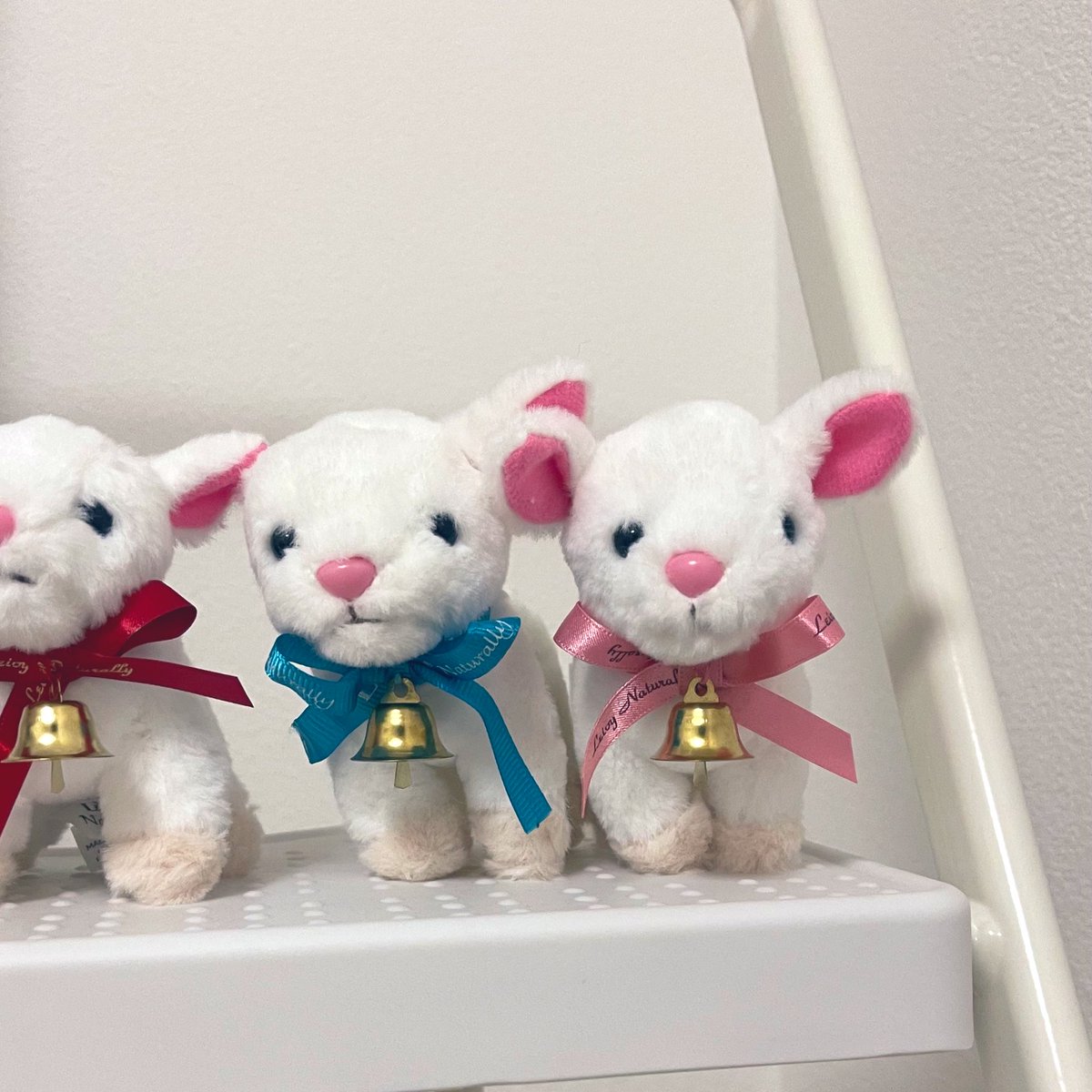 レイヴィー やぎのレイちゃん
みんなかわいいかわいいね
金色のレイちゃんの顔特にすきかも