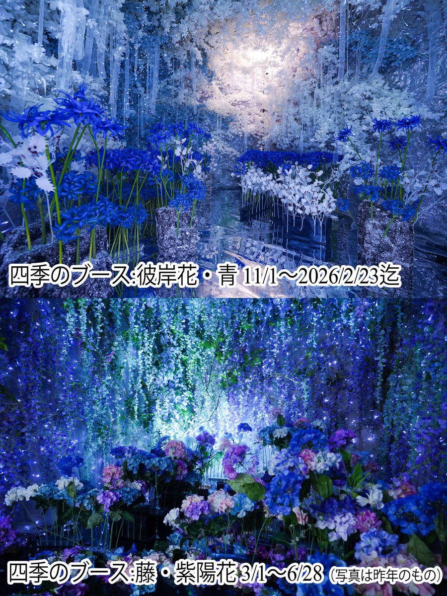 スタジオこむや (@comuya_com) / Posts / X