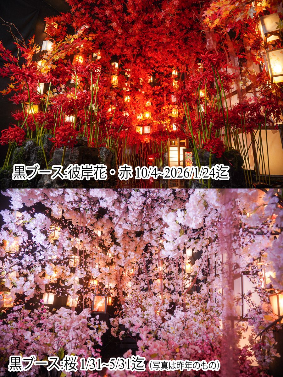 スタジオこむや (@comuya_com) / Posts / X