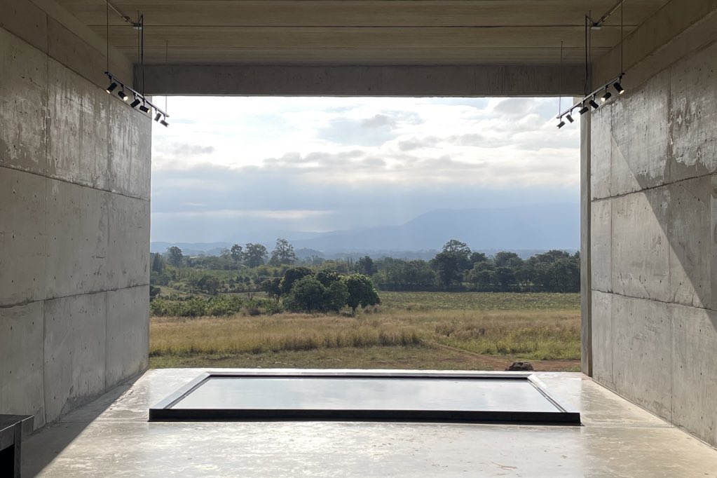 p.i.p.stu tweet media