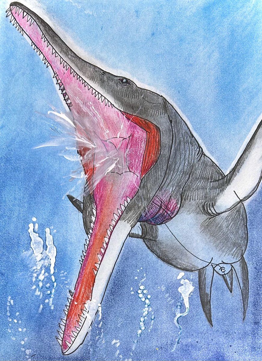 今日のお絵描き 大きく口を開ける #クロノサウルス 白亜紀の最強動物