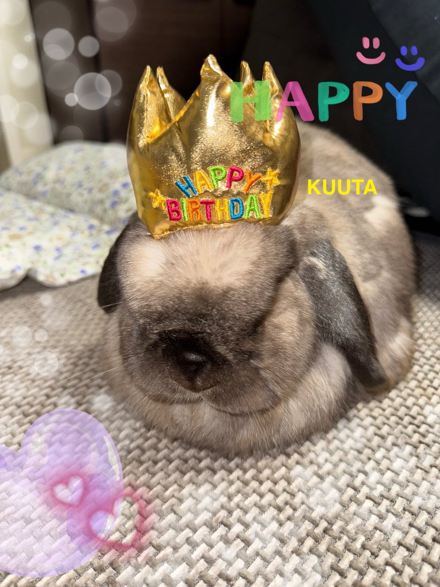 5歳のお誕生日🎂を無事に迎えました。
ありがとう、これからも宜しくね🎈
#うさぎのいる暮らし