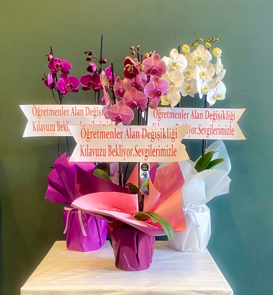 Değerli Bakanımız sayın Yusuf TEKİN <a href="/Yusuf__Tekin/">Yusuf Tekin</a> ve Personel Genel Müdürümüz sayın Bülent ÇİFTÇİ <a href="/cftcblnt/">Bülent ÇİFTCİ</a> 
 
ÖĞRETMENLER ALAN DEĞİŞİKLİĞİ DUYURUSU BEKLEMEKTEDİR

Her zaman personel sorunlarına çözüm odaklı yaklaştınız teşekkür ederiz. 

Müjde bekliyoruz .